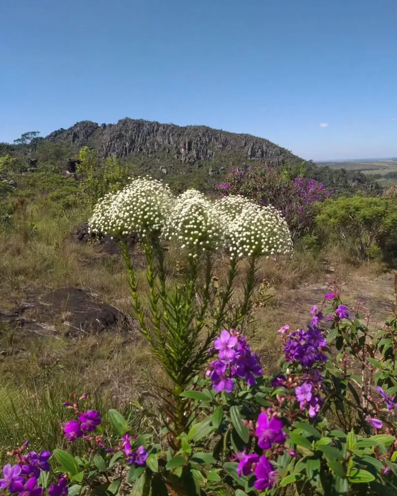 Caminho de Santa Dica: fé, natureza e história em 50 km