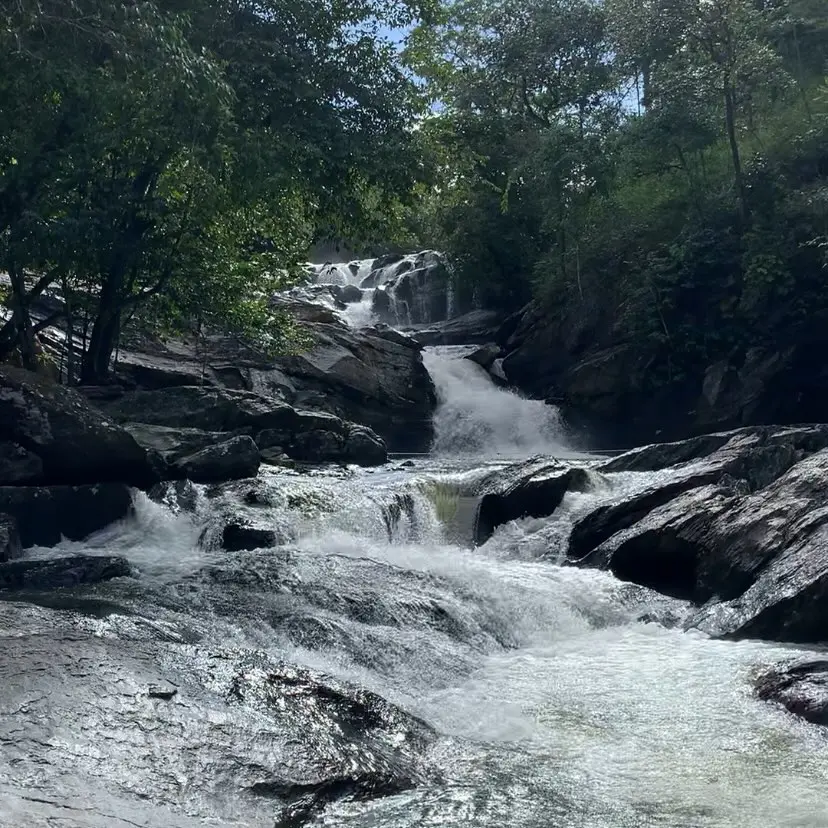 5 cachoeiras com trilhas leves para curtir em Pirenópolis