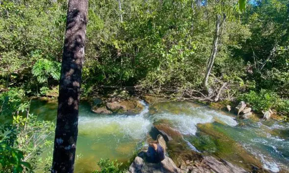 5 cachoeiras com trilhas leves para curtir em Pirenópolis 5 cachoeiras com trilhas leves para curtir em Pirenópolis