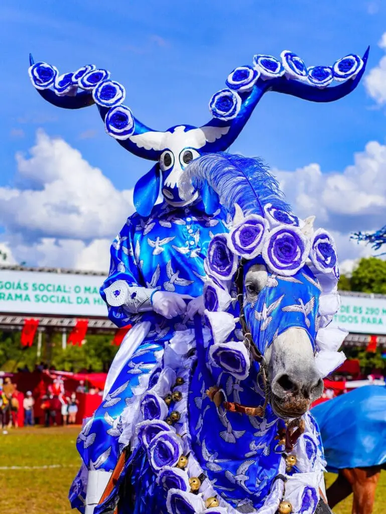 Opine: Festa do Divino deve virar patrimônio de Goiás?