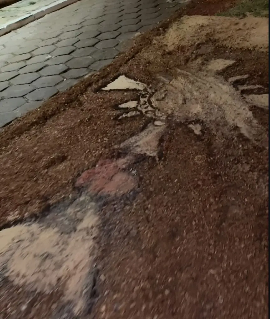 Tapetes destruídos: fiéis denunciam vandalismo durante Corpus Christi