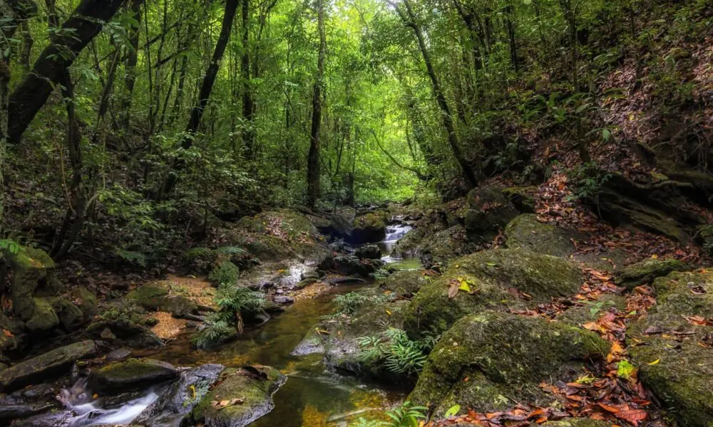 Fazenda Vagafogo em Pirenópolis