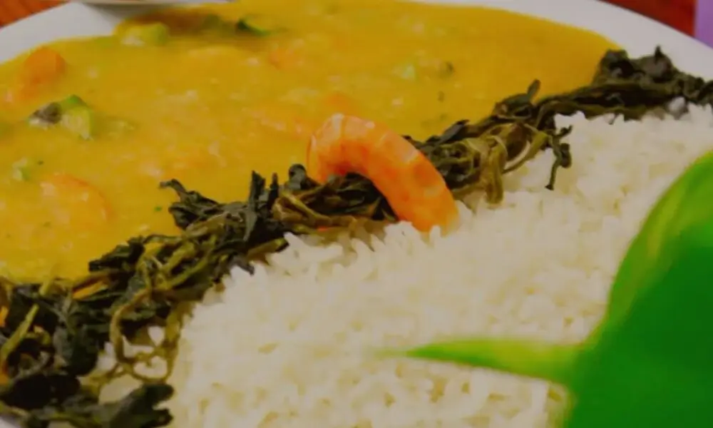 Tucupi do Tacacá: sabores amazônicos no coração de Pirenópolis