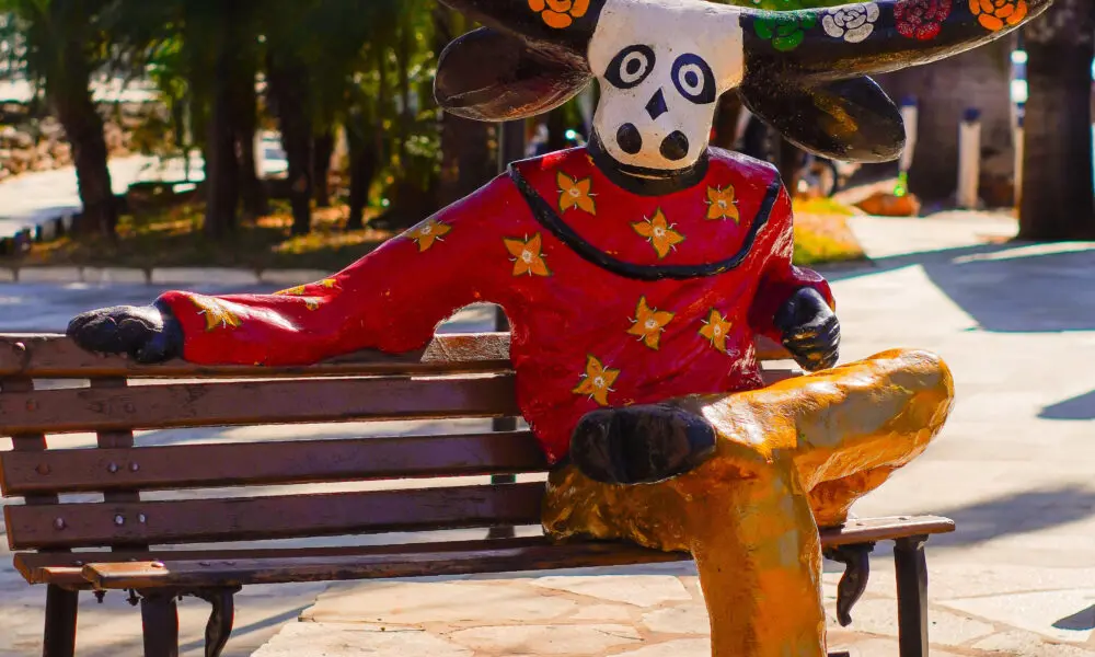O mascarado do coreto encanta quem passa por Piri