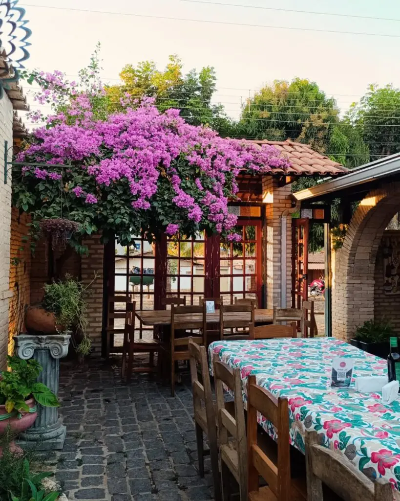 Boca do Forno: Pizza Artesanal e Charme Rústico em Piri