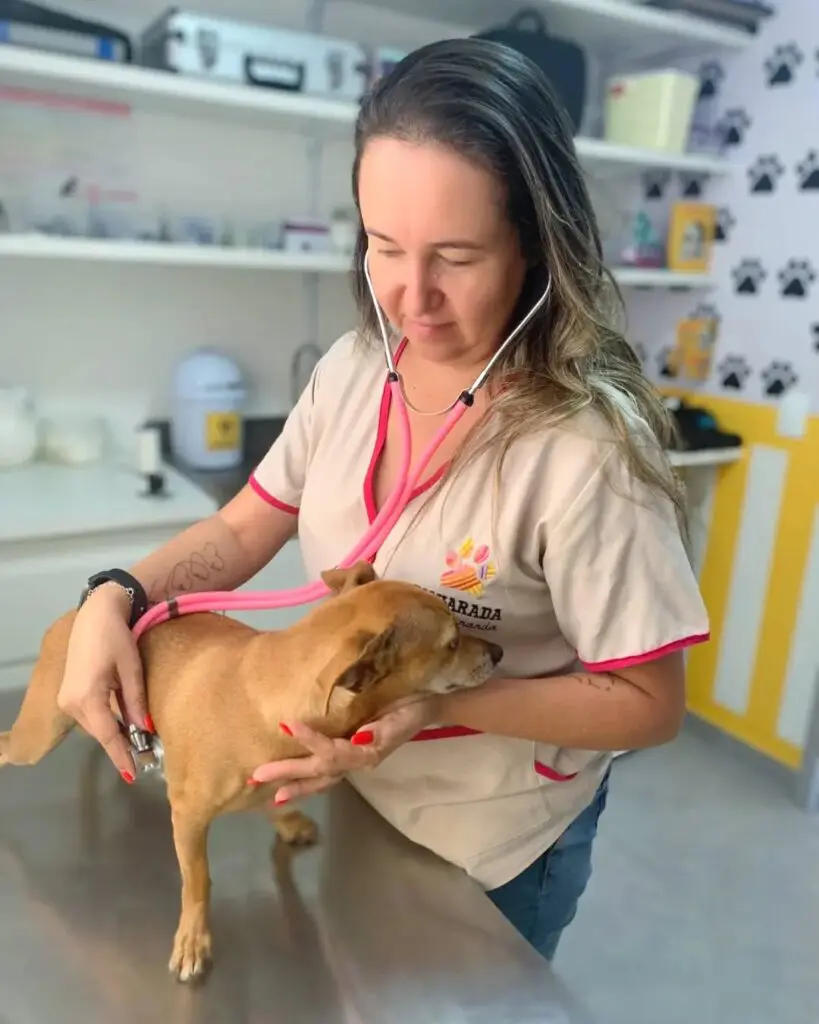 Bicharada cuida do seu pet com carinho e excelência