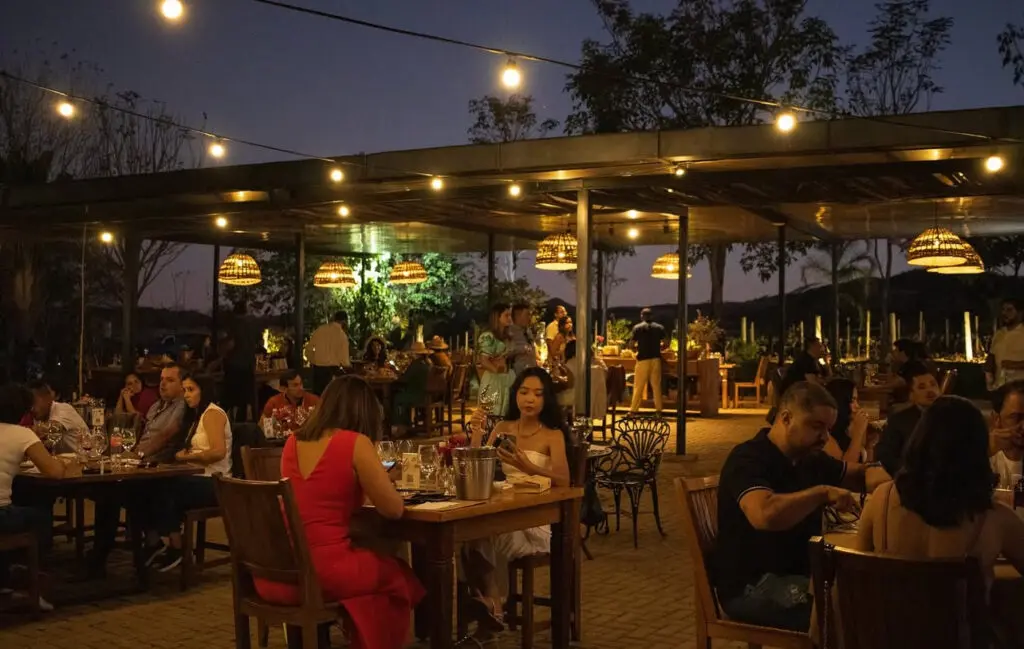 Festa da Colheita traz experi&ecirc;ncias &uacute;nicas em julho