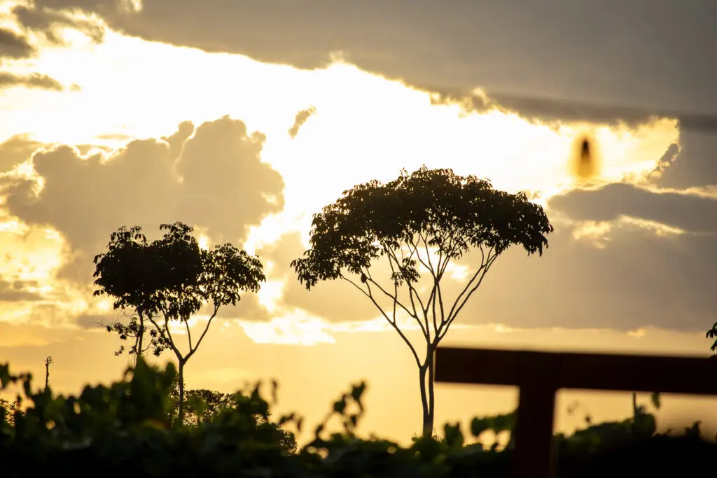 Pôr do Sol na Vinícola Assunção une vinhos e alta gastronomia