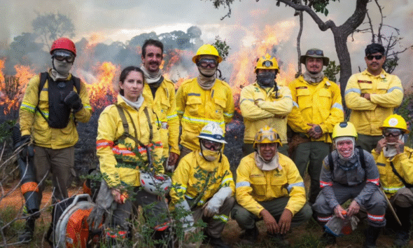 Formação gratuita de brigadistas na Serra dos Pireneus Formação gratuita de brigadistas na Serra dos Pireneus