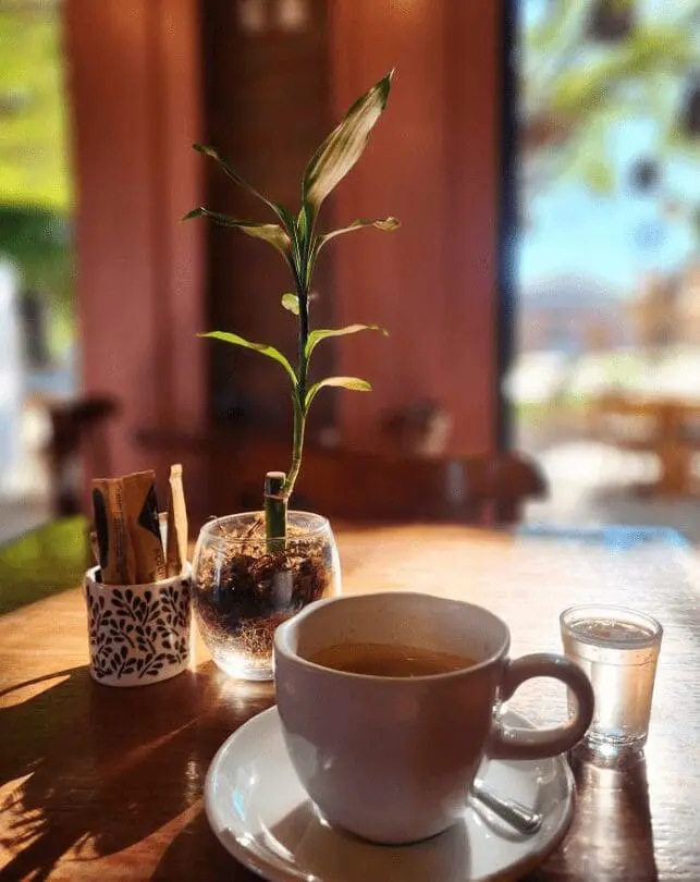 Sabores e charme: conheça os cafés que dão mais sabor à vida em Piri