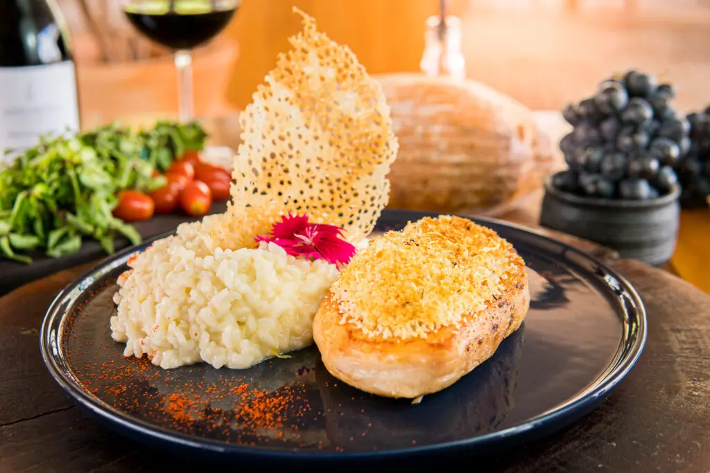 Vem de Vinho Bistrô: gastronomia entre parreirais