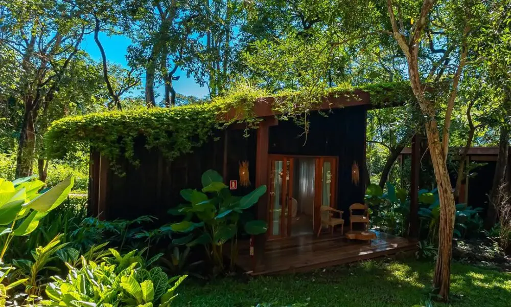 Boarã Lodge: conforto, café e natureza em perfeita harmonia