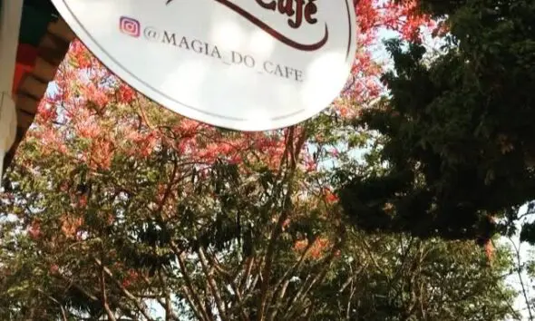 Magia do Café em Piri: encanto do grão à xícara