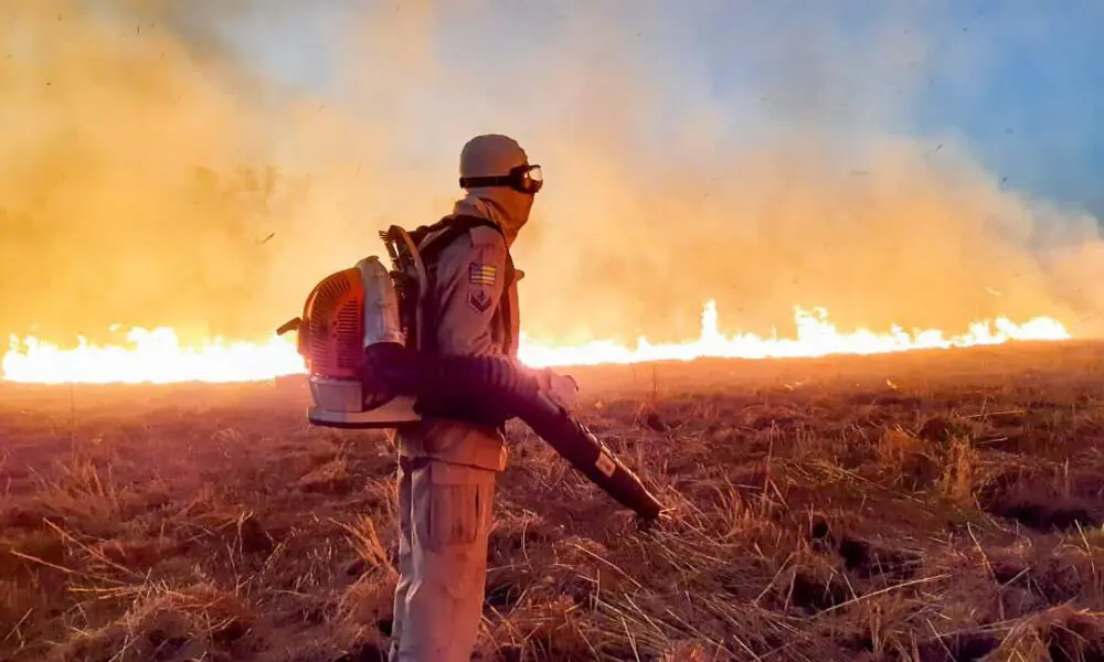 App Monitor de Queimadas em Goiás – denuncie incêndios