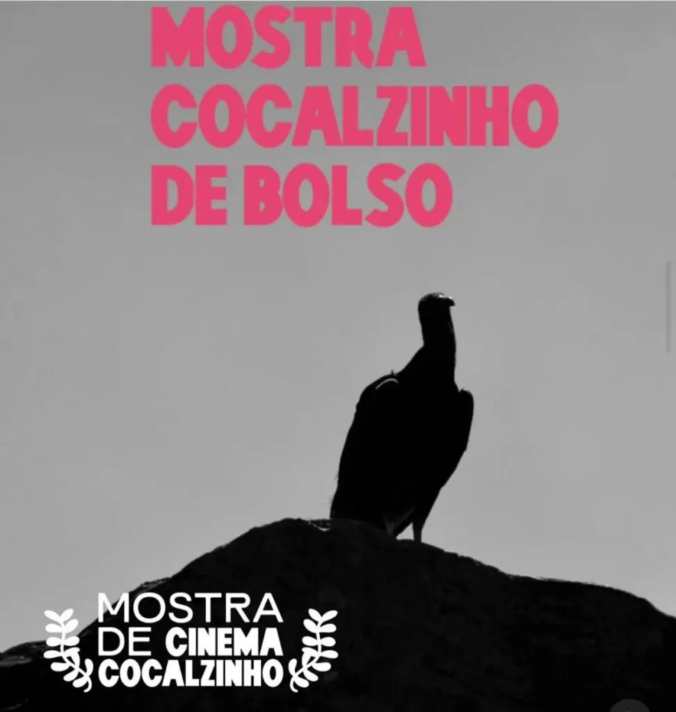 Mostra de Cinema Cocalzinho 2025 celebra audiovisual regional