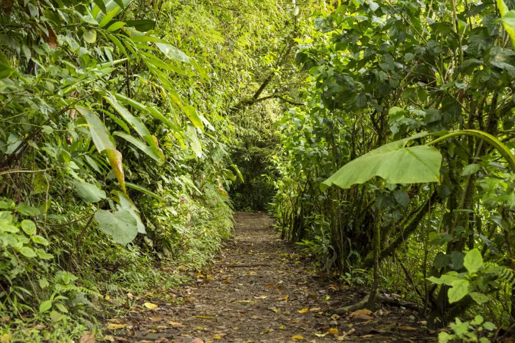 Pirenópolis: refúgio de saúde e bem-estar Pirenópolis: refúgio de saúde e bem-estar
