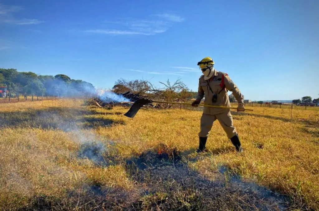 Segure as pontas! Bitucas no cerrado podem virar incêndio