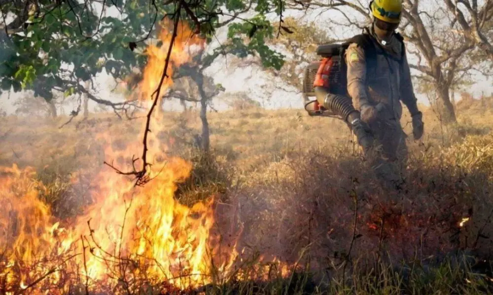 Seca prolongada deixa Goiás em alerta para incêndios