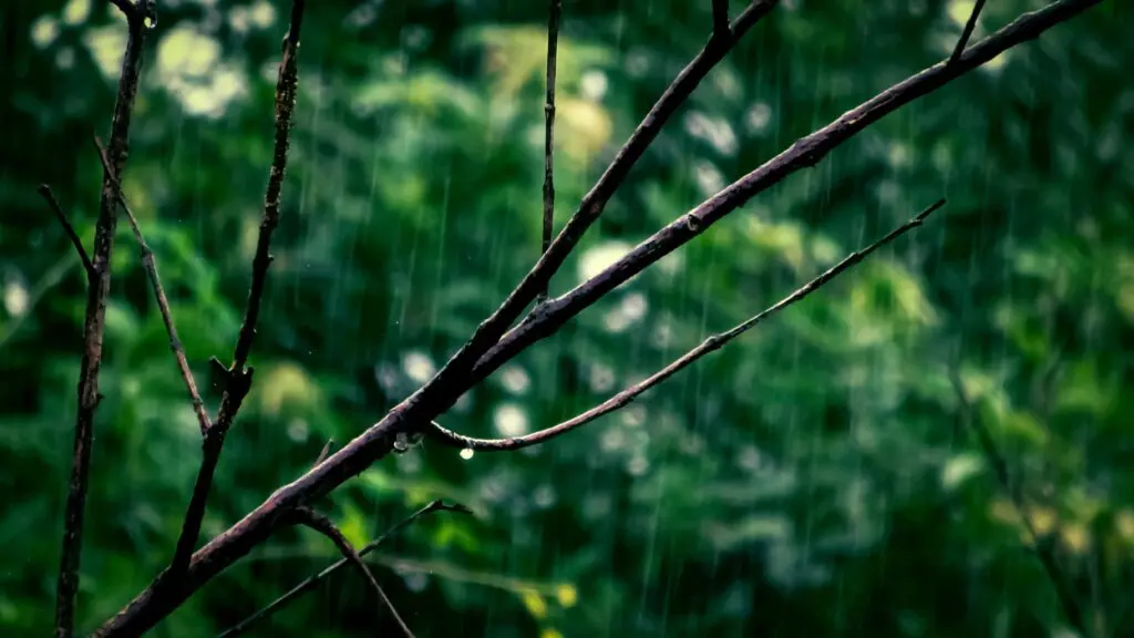 Chuva chega em Brasília e Anápolis, mas em Pirenópolis só ventania