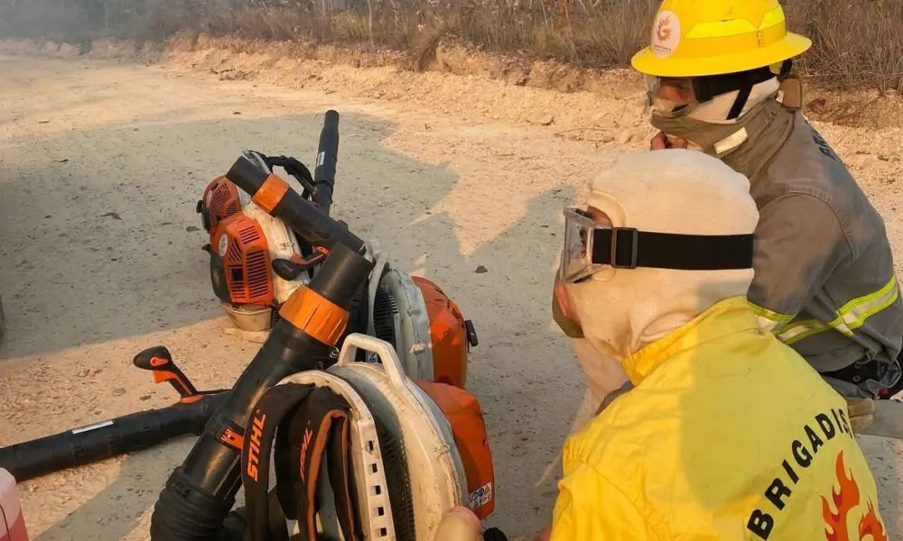 Brigada alerta sobre incêndios em Pirenópolis; população deve ficar atenta