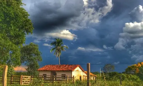 Ontem caiu uma chuva tímida em Pirenópolis: seria a chuva do caju? Ontem caiu uma chuva tímida em Pirenópolis: seria a chuva do caju?
