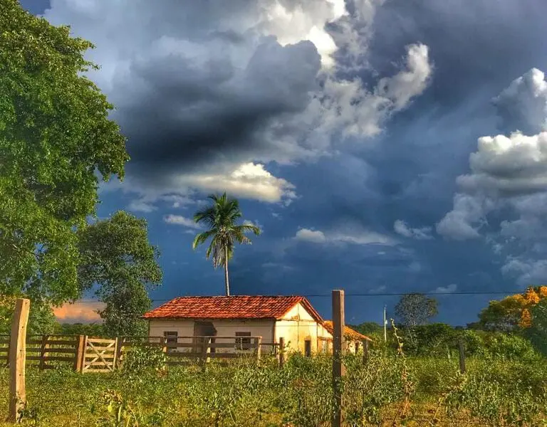 Ontem caiu uma chuva tímida em Pirenópolis: seria a chuva do caju?