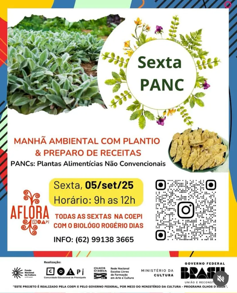 Sexta PANC na Coepi une plantio e receitas com alimentos não convencionais