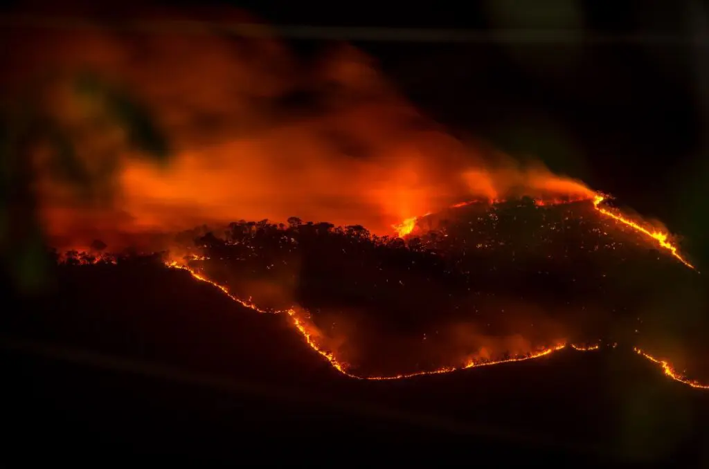 Dia do Cerrado: Natureza e resistência em Pirenópolis