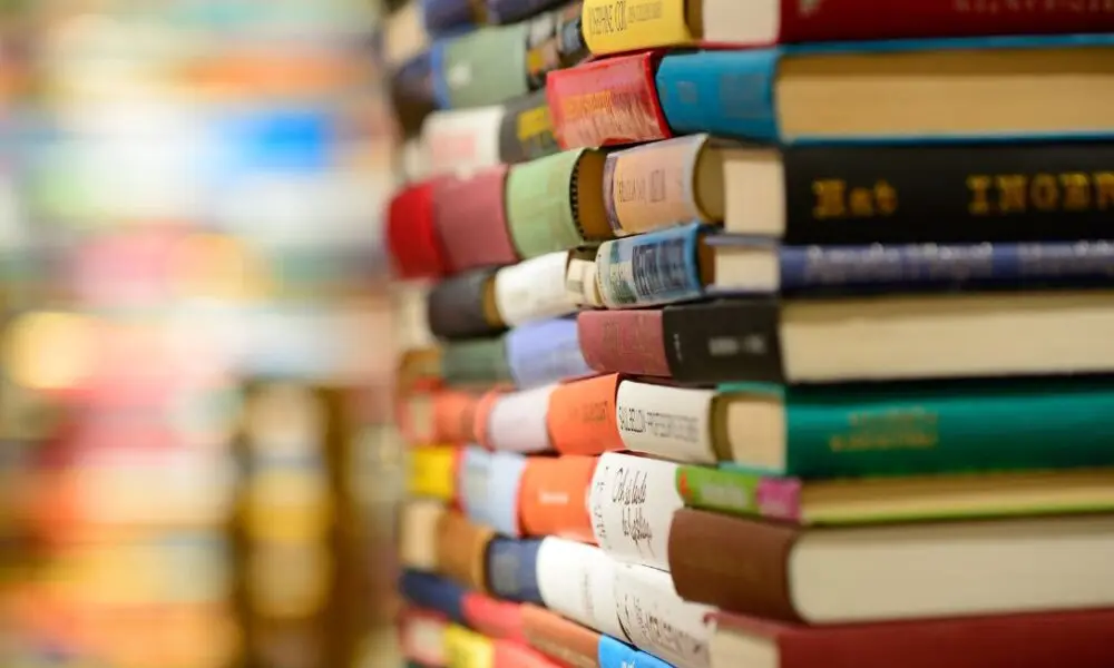 Flipiri 2025 abre inscrições para lançamentos de livros