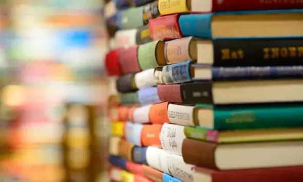 Flipiri 2025 abre inscrições para lançamentos de livros Flipiri 2025 abre inscrições para lançamentos de livros