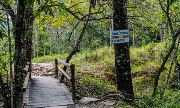 Caminhe com cuidado e respeito nas trilhas de Piri