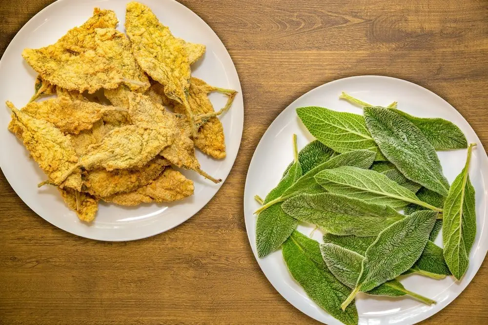 Sexta PANC na COEPi: Plantio e Receitas com Plantas Nativas