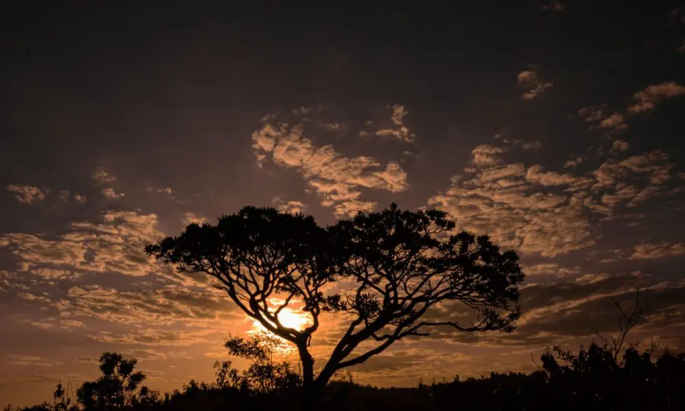 Pôr do sol no Cerrado: Especial em Pirenópolis e Goiás