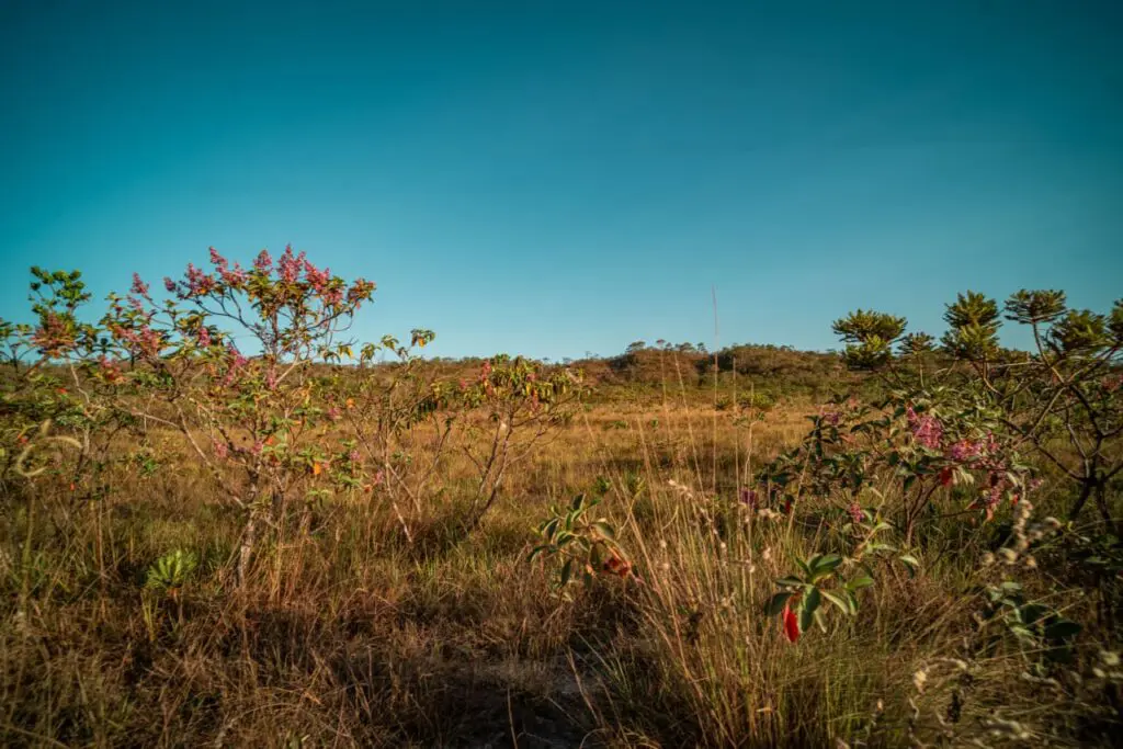 Pôr do sol no Cerrado: Especial em Pirenópolis e Goiás