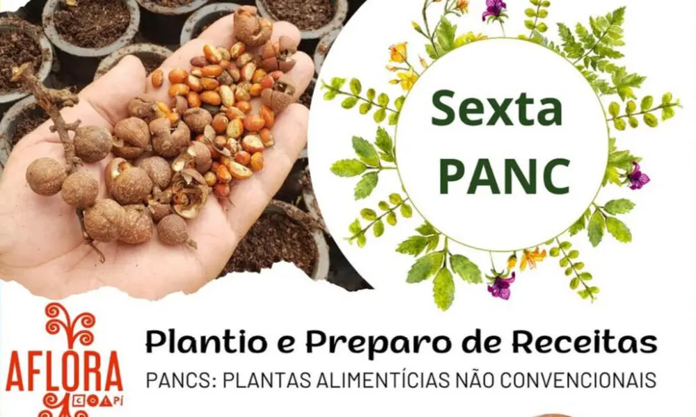 Sexta PANC na COEPi: Plantio e Receitas com Plantas Nativas