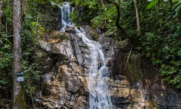 10 cachoeiras incríveis para conhecer em Pirenópolis 10 cachoeiras incríveis para conhecer em Pirenópolis