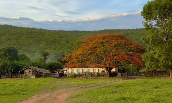 Zona rural de Pirenópolis: fazendas e histórias que encantam