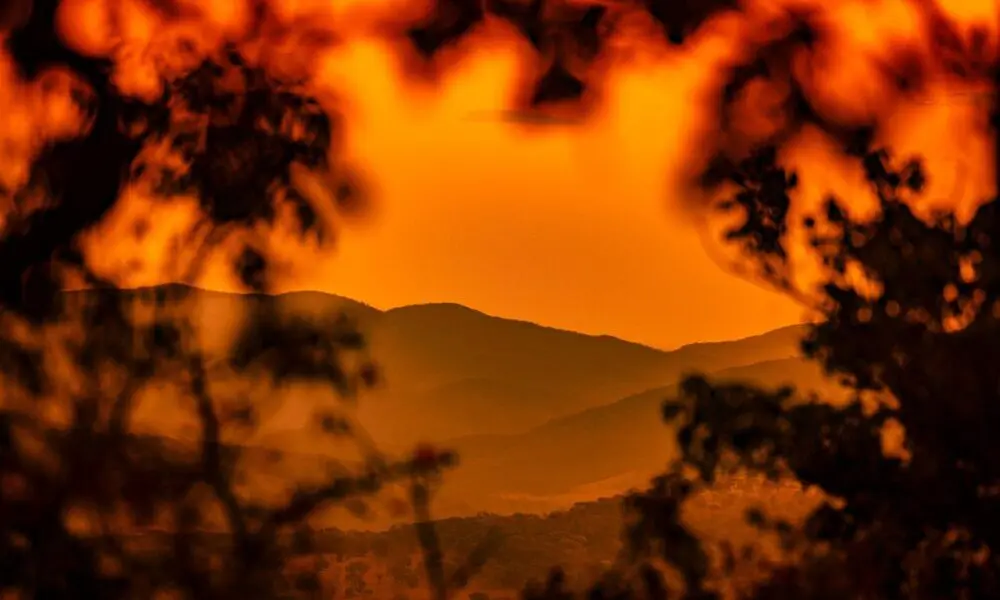 Horizonte Dourado: o Cerrado em tons laranja ao entardecer
