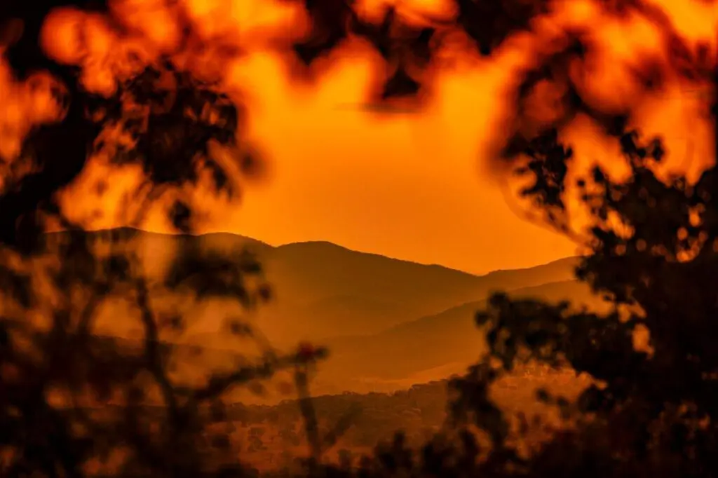 Horizonte Dourado: o Cerrado em tons laranja ao entardecer