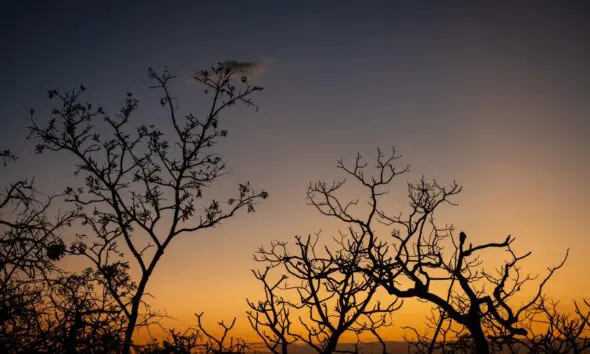 Pôr do sol no Cerrado revela silhuetas e tons dourados em Pirenópolis