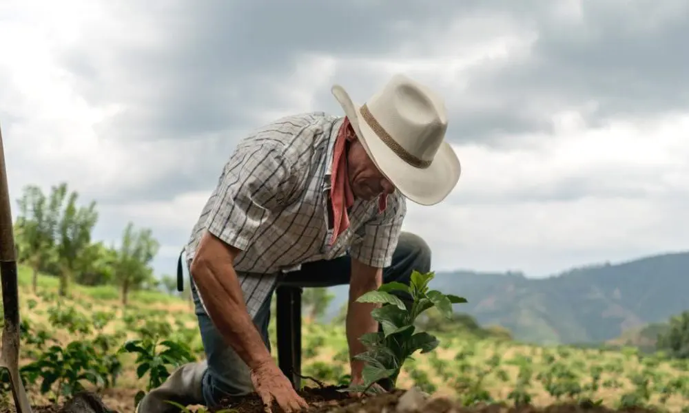 Emater Reduz Insegurança Alimentar em Goiás