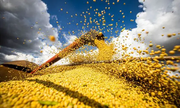 Goiás tem superávit de US$ 700 milhões em setembro Goiás tem superávit de US$ 700 milhões em setembro