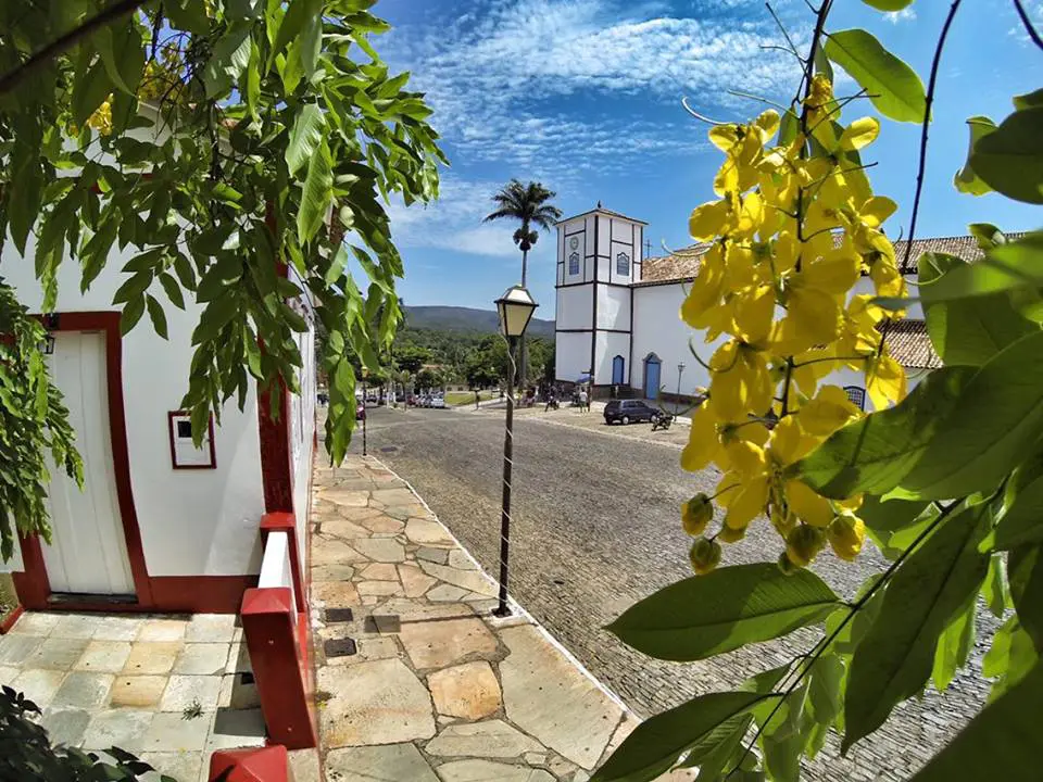 Primavera em Pirenópolis: flores desabrocham e encantam a cidade