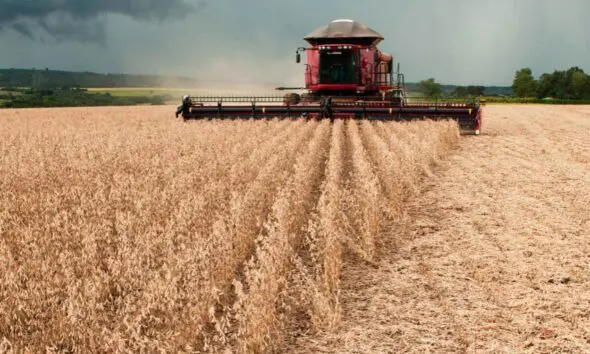 Goiás amplia práticas sustentáveis na agropecuária