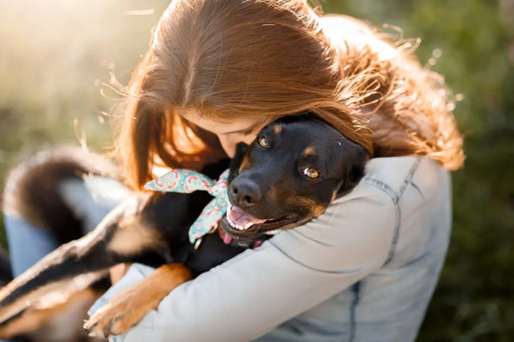 PiriCastra: Responsabilidade vai além do carinho com os cães