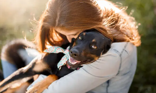 PiriCastra: Responsabilidade vai além do carinho com os cães