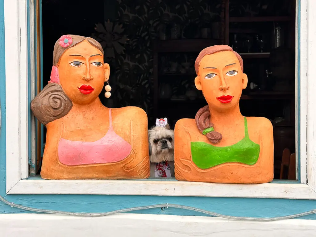 As namoradeiras e o doguinho