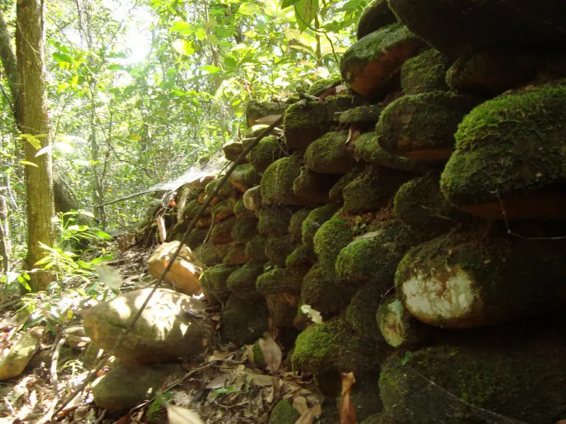 Museu das Lavras de Ouro revela história do garimpo em Pirenópolis