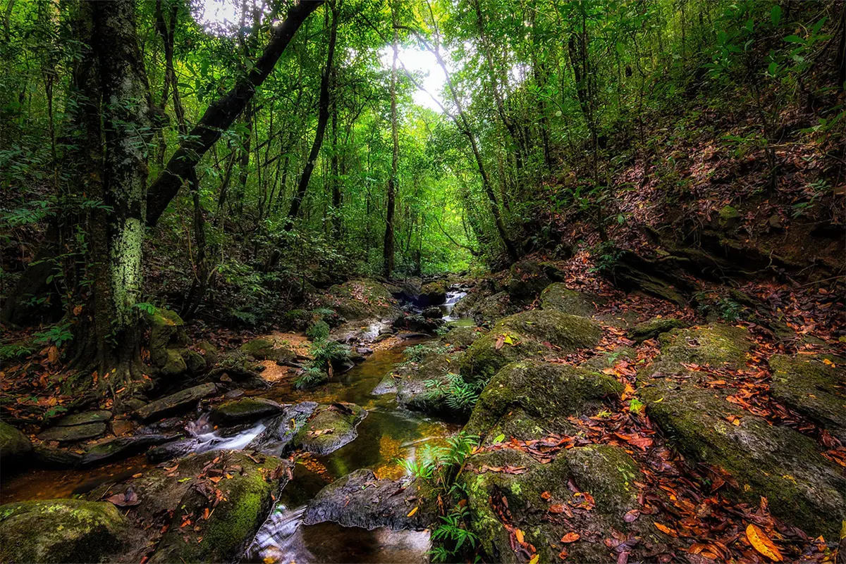 10 destinos de ecoturismo em Pirenópolis que você precisa conhecer