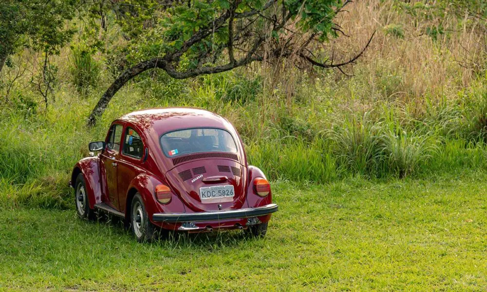 Fusca no Cerrado revela encontros entre estrada, paisagem e memória